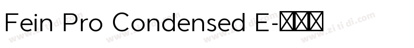 Fein Pro Condensed E字体转换
